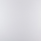 Плитка Stevol Белая Матовая Полная Пропитка CB6000M Пол