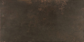 Плитка Ceracasa Ceramica Evolution Bronce Lapatto Пол