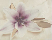 Плитка ONIX OLIMPO R74 CHAMPAGNE ДЕКОР