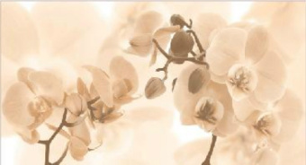 Плитка DESERT FIORE TIERRA ДЕКОР