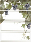 UVA TEMPRANILLO BLANCO ПАННО