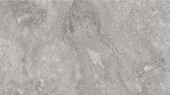 Плитка Arcana R.040 Buxi-R Gris 59,3X119,3 Пол