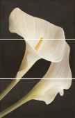 Плитка ARMONIA SET 3 TROPICAL BLANCO ПАННО
