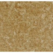 Плитка CAROL 1QP60060 ПОЛ