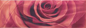 Плитка PASSION 1 ДЕКОР