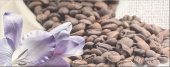 Плитка PENNE 1 COFFEE ДЕКОР