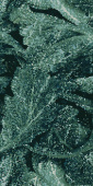 Плитка Emil Ceramica Ehaw Acanto Verde Saint Denis Lapp. Luc. Rett 590Х1182