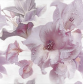 Плитка HARMONY VIOLETA D-857 ДЕКОР