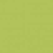 Плитка Almera Ceramica GMM40160P Green Пол