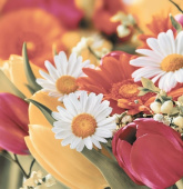 Плитка DECO FLOWERS 2 BRILLO 75Х73 (ИЗ 3-Х ШТ) ПАННО