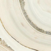 Плитка AKOYA/49/HL/R ПОЛ