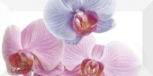 Плитка ORCHIDEA-1 ДЕКОР