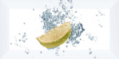 Плитка FRUTAS AQUA LEMON ДЕКОР