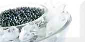 Плитка MONOCOLOR BLACK CAVIAR 02 AK0646 ДЕКОР