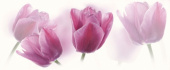 Плитка TULIPAN CENTRO ДЕКОР