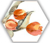 Плитка TOSCANA ACUARELAS 035 СТЕНА/ПОЛ