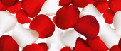 Плитка SFERA PETALS ROJO ДЕКОР