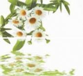 Плитка DOLCEVITA JASMIN 2 ПАННО