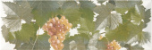 UVA MOSCATEL BLANCO 1 ДЕКОР