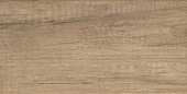 Плитка Ceramica Arte Pineta Brown Стена 308Х608