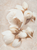 Плитка NIZZA FLOWER ДЕКОР