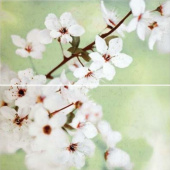 Плитка EARLY SPRING PANNO FLOWER (ИЗ 2-Х ШТ) ПАННО