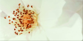 Плитка DIAGO INSERTO FLOWER A ДЕКОР