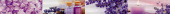 Плитка FLASH 175729550 PURPLE ФРИЗ