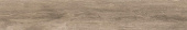 Плитка Ape Ceramica Alabama Quercia Rect 200X1200X11,5