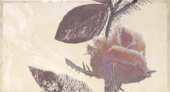 Плитка AGORA CR-MARFIL FLOR 1 ДЕКОР