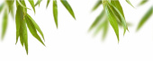 Плитка LEAVES LEAVES C ДЕКОР