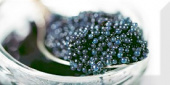 Плитка MONOCOLOR BLACK CAVIAR 03 AK0647 ДЕКОР