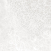 Плитка Itt Ceramic Wagner White Polished Стена (Пол)