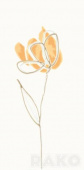 Плитка Lasselsberger Rako Tulip Orange Floral WITMB009 Декор 198Х398Х7