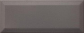 Плитка Lasselsberger Rako Concept Plus Dark Grey WARGT111 Декор 250х100х7