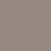 Плитка Rezult Ceramica Monocolor MC04N701 Натурал Светло-Серый 600Х600