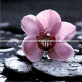 Плитка ALASKA ORCHID ПАННО