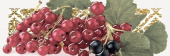 TUTTI FRUTTI RIBES ДЕКОР