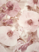 Плитка ELISABETA PANNO FLOWER ПАННО