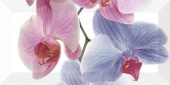 Плитка ORCHIDEA-2 ДЕКОР