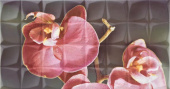 Плитка GLAMOUR ORCHID C RSA ДЕКОР