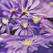 Плитка FLORA 1 (3 ШТ. В КОМПЛ.) ПАННО
