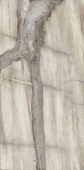 Плитка PETRIFIED TREE GREY PANTHER CORE 948D8R РЕКТИФ ПОЛ