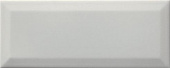 Плитка Lasselsberger Rako Concept Plus Light Grey WARGT112 Декор 250х100х7