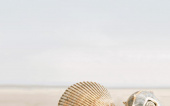 Плитка Golden Tile Summer Stone Holiday Бежевый В4131 Декор 250х400