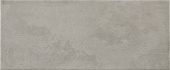 Плитка Argenta Caledonia Cloud Azulejo Стена 250Х600