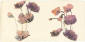 Плитка VINTAGE CAPRICCIO IV IVORY ДЕКОР