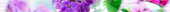 Плитка LISTELO 891 VIOLETA ФРИЗ