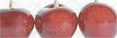 Плитка RIVERA CHERRIES ДЕКОР