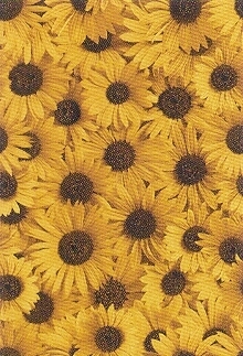 Плитка FIORI BROWN ДЕКОР